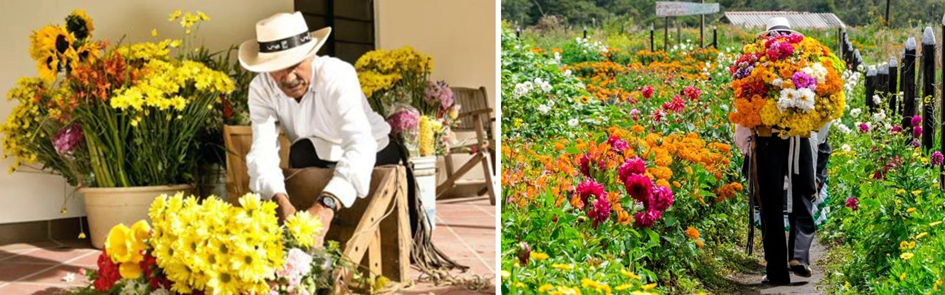 Feria de las flores